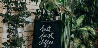 Wnętrze z roślinami w doniczkach i torbą z napisem But First, Coffee