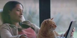 Dziewczyna leżąca z kotem i tabletem