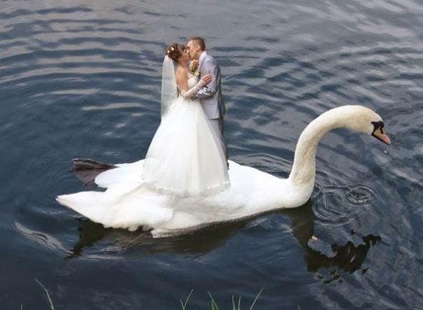 funny weird russian wedding photos 109 5ac47b9bc0eea 605 Romantyzm w Rosji: 20 najgorszych zdjęć ślubnych