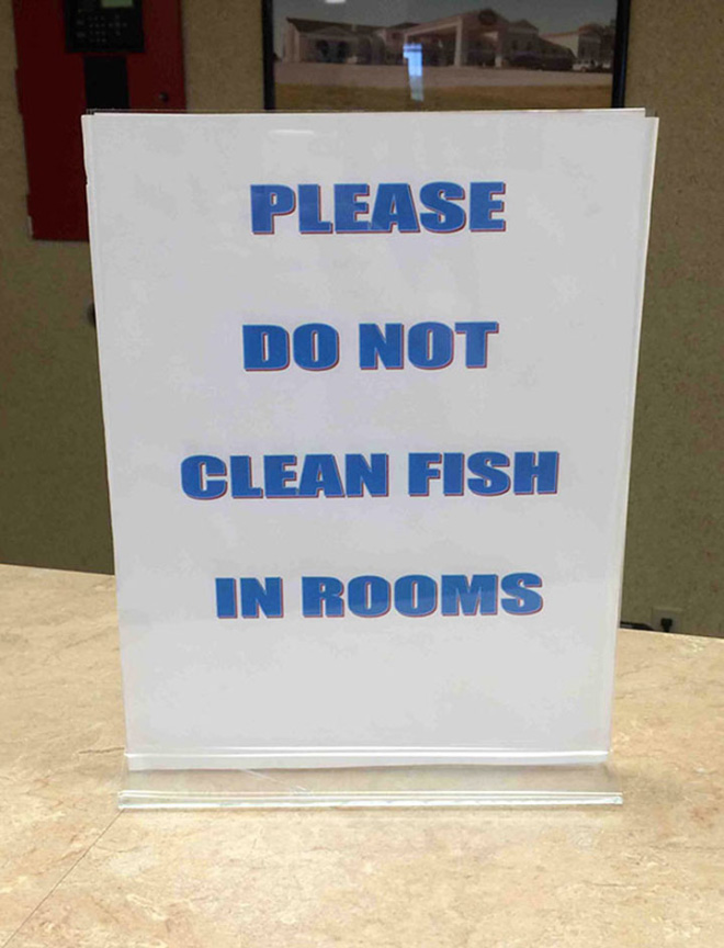 Karta, zeby nie czyscic ryb w pokoju