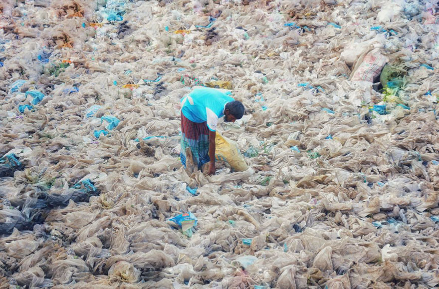 plastic crisis impact on wildlife national geographic june issue cover 20 5afd85026633b 880 Planeta, czy Plastik? Szokująca seria zdjęć National Geographic