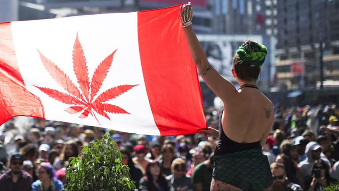 kobieta w Kanadzie trzymajaca flage Kanady z symbolen marijuana przed tlumem ludzi