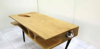 Biurko z kotem w środku