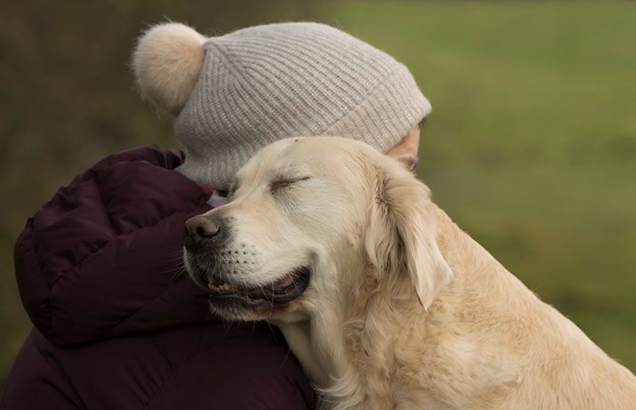 dziewczynka w zimowej czapce przytula dorosłego kremowego labradora
