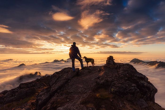 człowiek z psem stoją na szczycie skalistej góry oglądając panoramę zachodzącego słońca