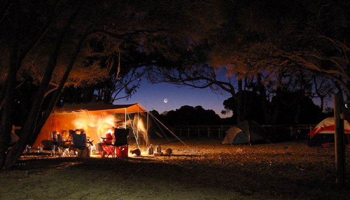 Nocne zdjęcie kempingu w Australii z podświetlonym namiotem rozbitym pod drzewami.