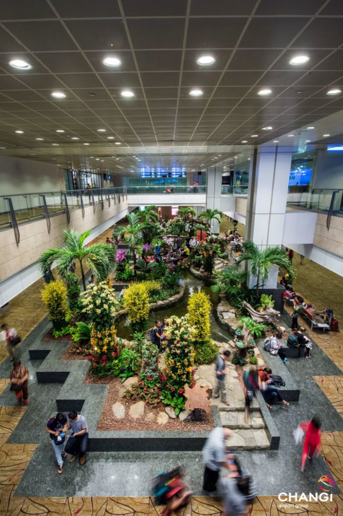 worlds best changi airport singapore 4 5b83f981202da 700 Kino, basen na dachu i bar: najlepsze lotnisko na świecie