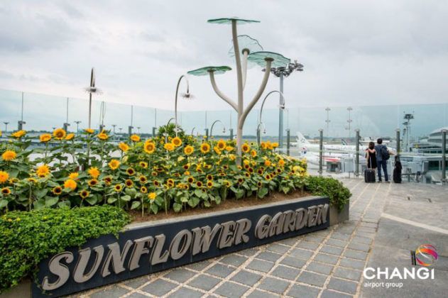 worlds best changi airport singapore 19 5b83f98adc278 700 Kino, basen na dachu i bar: najlepsze lotnisko na świecie