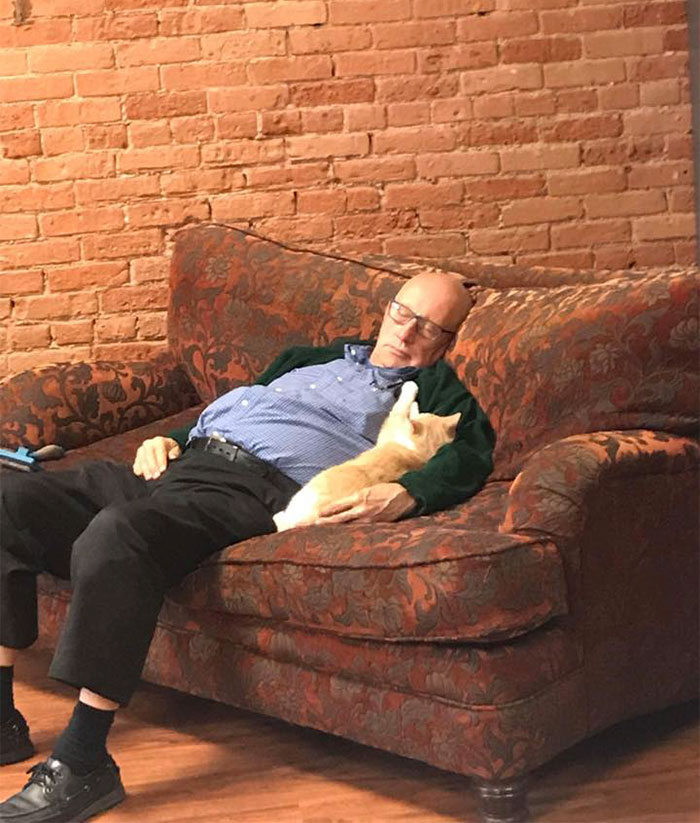 Starszy mężczyzna śpiący na kanapie z kotem