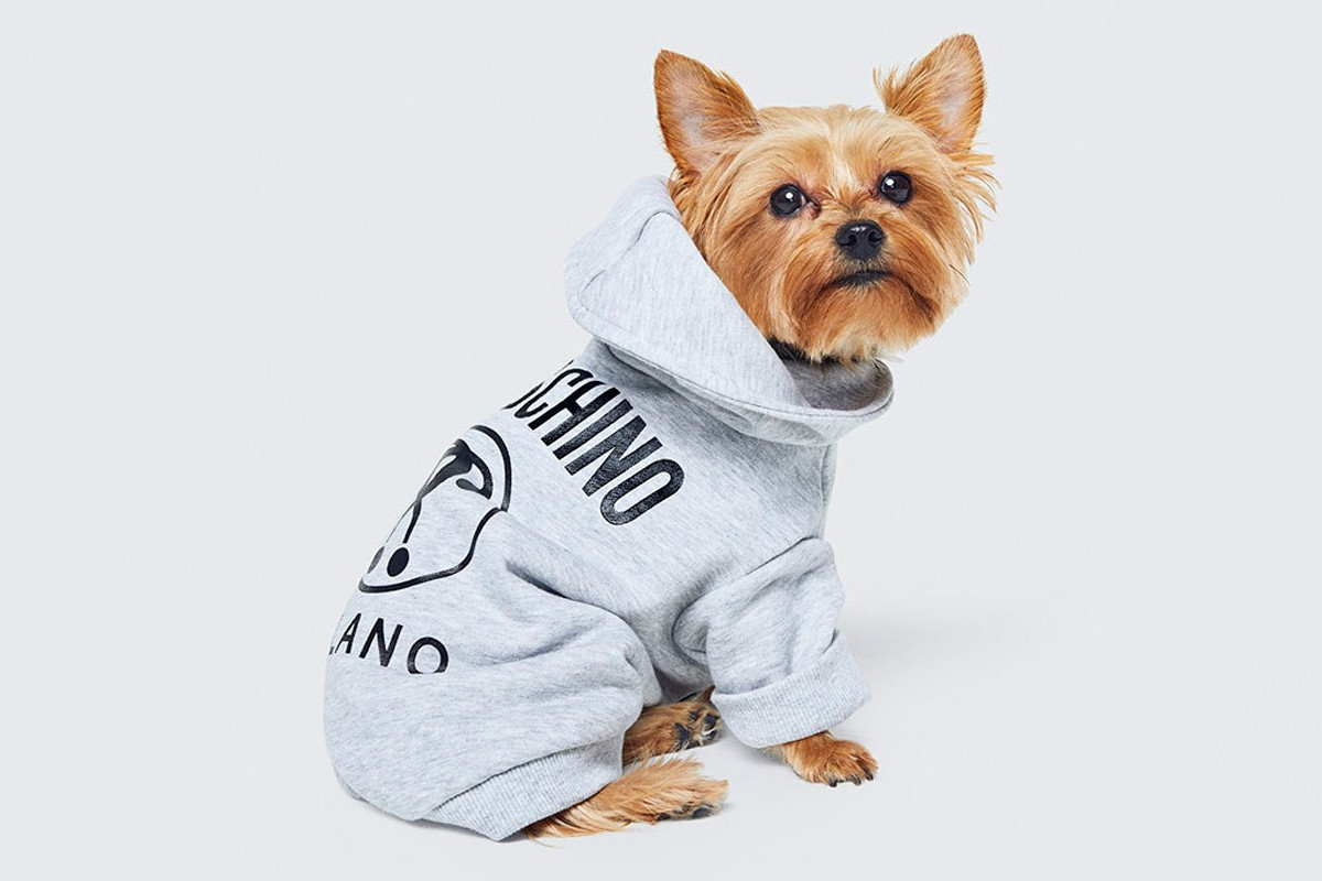 https hypebeast.com wp content blogs.dir 6 files 2018 09 moschino hm jeremy scott petwear collaboration preview 2 Jeremy Scott zaprojektuje ubrania dla psów w ramach Moschino x H&M