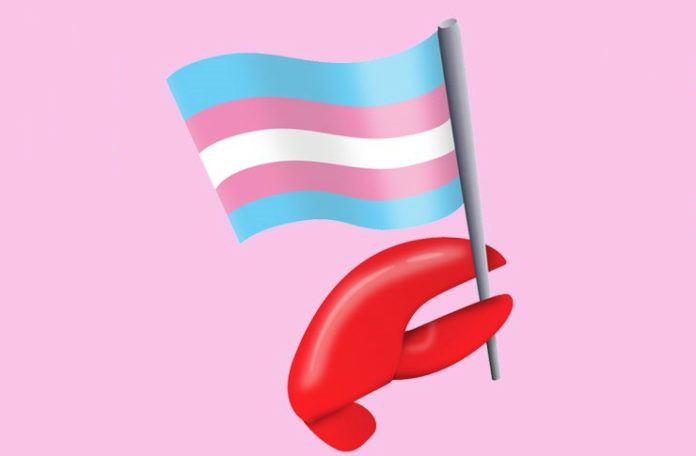 emoji kraba trzymające flagę trans