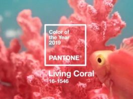 Kolor roku Pantone 2019