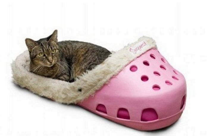 Różowy but typu crocs, wypełniony futerkiem. W środku leży kot