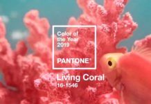 Kolor roku Pantone 2019