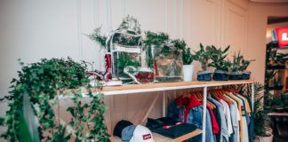 Nowa kolekcja Levi's na wieszakach i rośliny na półkach