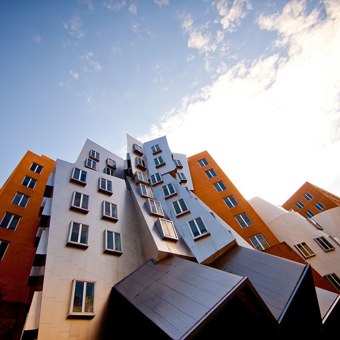5 1 20 zdjęć pokazujących, że Frank Gehry to jeden z najwybitniejszych architektów naszych czasów