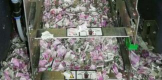 Pieniądze zniszczone w bankomacie przez szczura w Indiach