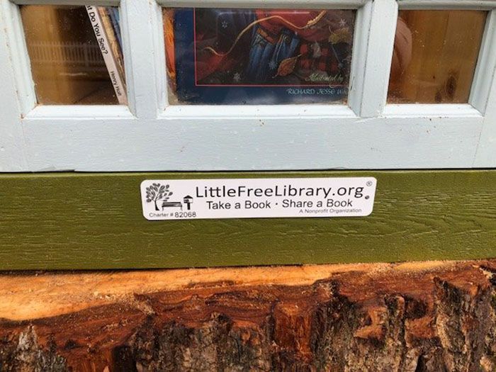 Biblioteczka z książkami w pniu drzewa