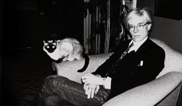 Andy Warhol Kultowi artyści ze swoimi kotami. Wyjątkowa seria zdjęć z Warholem, Kahlo i Picasso