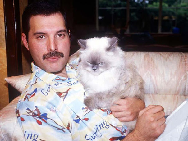 freddie mercury cats 10 5c6fa8c01f2a9 605 Kilka dowodów na to, że Freddie Mercury był największym kociarzem wszechczasów