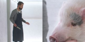 Mężczyzna z nożem, a obok świnka z pyskiem opartym na dłoni