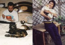 Mężczyzna w łóżku z kotami i mężczyzna trzymający kota na ręku