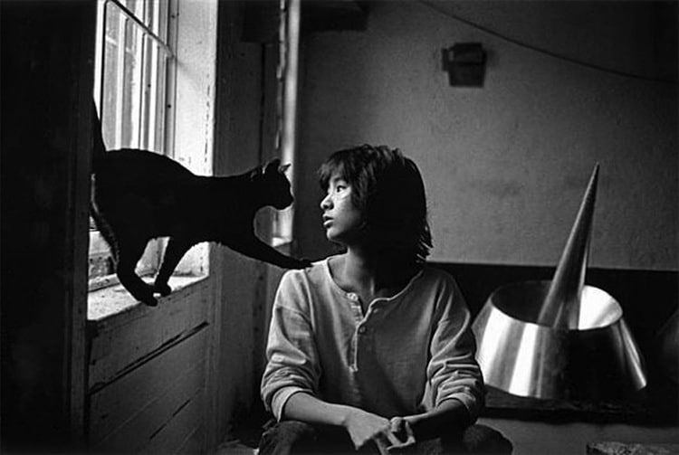 Maya Lin Kultowi artyści ze swoimi kotami. Wyjątkowa seria zdjęć z Warholem, Kahlo i Picasso