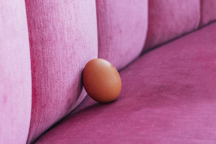 Jajko leżące na kanapie