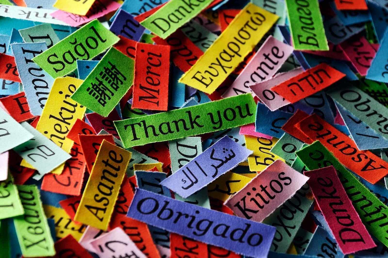 Karteczki ze słowem dziękuję w różnych językach