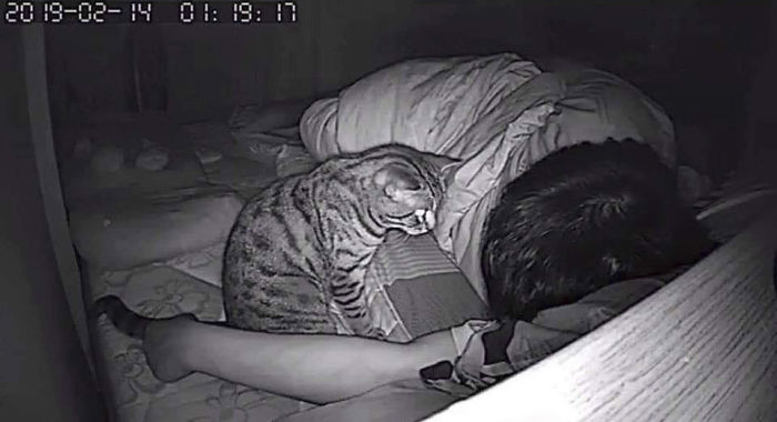 secret camera record cat sleep night 74 5c94a32ea1eea 700 Mężczyzna zamontował w sypialni kamerę, by sprawdzić, co jego kot robi w nocy