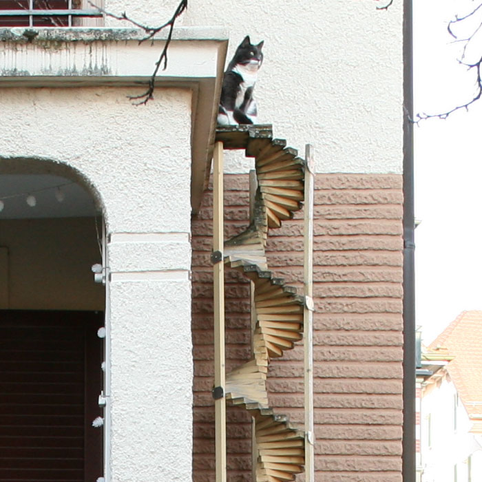 swiss cat ladders photography brigitte schuster 015 Szwajcaria to najbardziej „kocie” państwo na świecie. Zobaczcie „kocie drabinki”