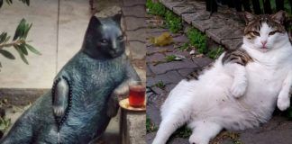 Pomnik kota i zdjęcie kota opartego o chodnik