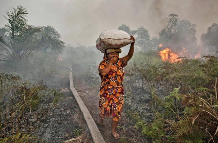 kobieta z workiem na głowie biegnie przez płonącą plantacje palmy olejowej 