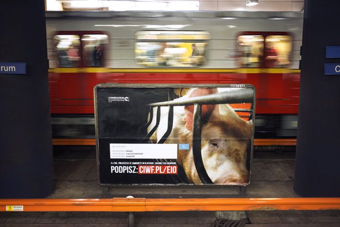 Plakat przedstawiający świnię w klatce w warszawkim metrze