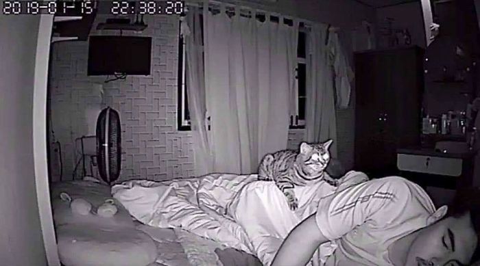 secret camera record cat sleep night 70 5c94a3287a542 700 Mężczyzna zamontował w sypialni kamerę, by sprawdzić, co jego kot robi w nocy