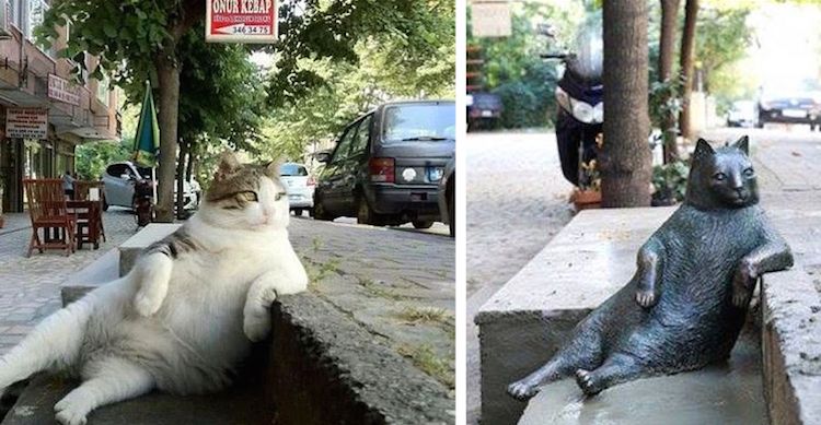 Pomnik kota i zdjęcie kota opartego o chodnik