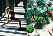 Kobieta wykonująca jogę i zielone rośliny w doniczkach