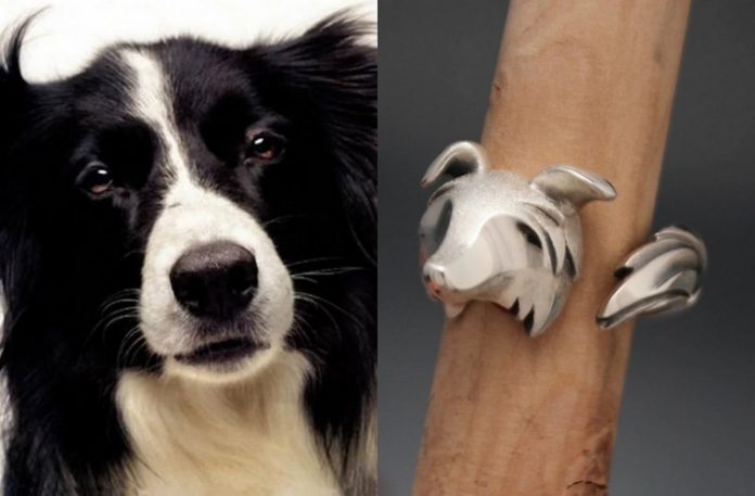 Pies i pierścionek, który wygląda jak pyszczek psa