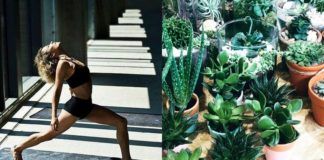 Kobieta wykonująca jogę i zielone rośliny w doniczkach