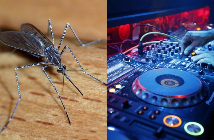 Zdjęcie przedstawiające komara i kontroler DJski