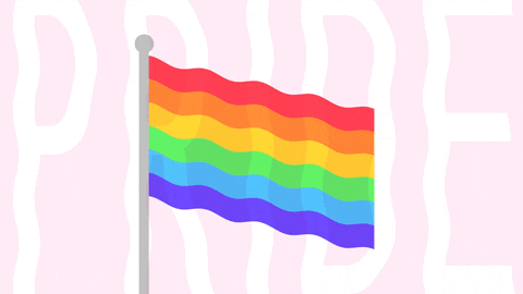 Tęczowa flaga dumy LGBT