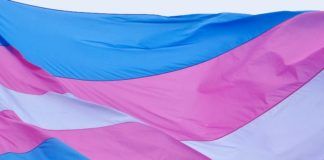 Flaga osób transpłciowych