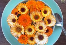 Kwiaty ułożone na talerzu