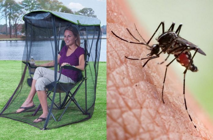 Kobieta siedząca w fotelu i komar na skórze