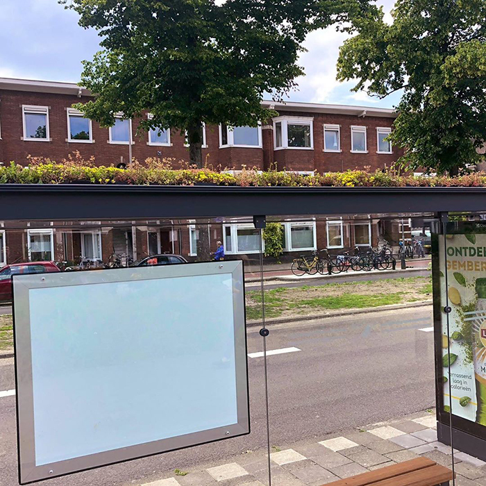 W Holandii dachy przystanków autobusowych zostały zamienione w „przystanki dla pszczół”3 W Holandii dachy przystanków autobusowych zostały zmienione w „przystanki dla pszczół”