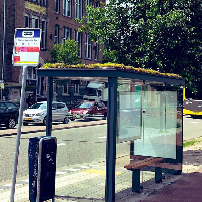 W Holandii dachy przystanków autobusowych zostały zamienione w „przystanki dla pszczół”4 W Holandii dachy przystanków autobusowych zostały zmienione w „przystanki dla pszczół”