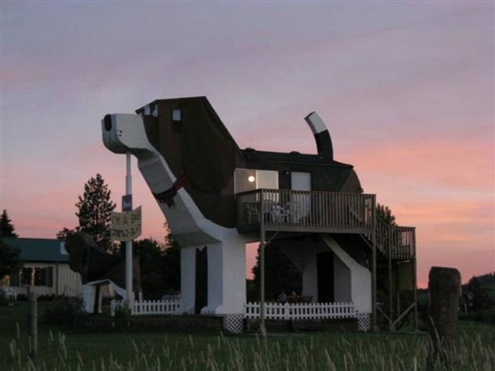 Dom w kształcie psa