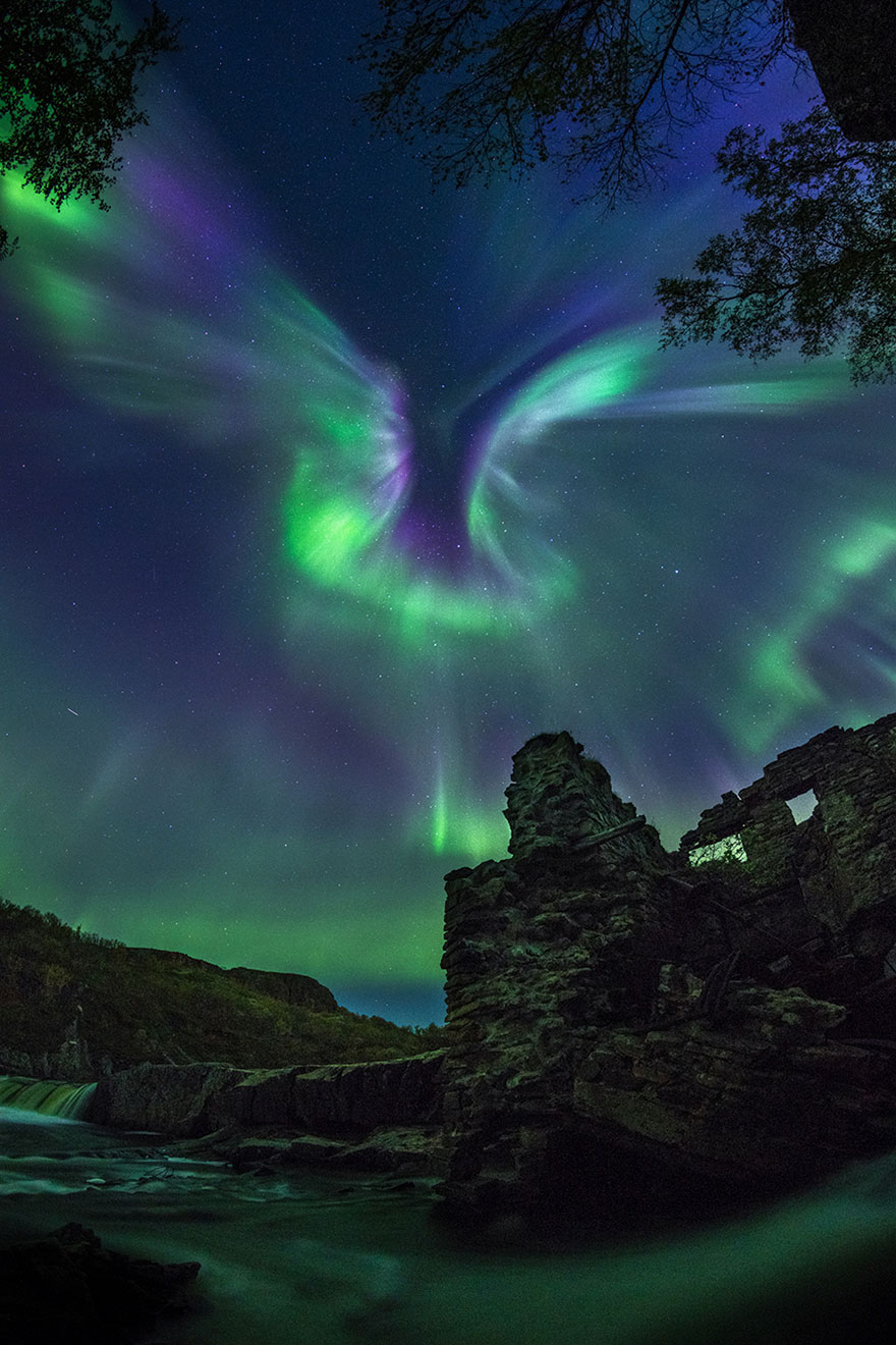 Aurora Is A Bird By Alexander Stepanenko 30 najlepszych zdjęć z konkursu Astronomy Photographer of the Year, czyli fotografii dosłownie nie z tego świata