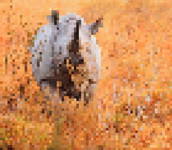 Black Rhino. Estimated about 5000 remain 22 zdjęcia zwierząt, składające się z tylu pikseli, ile osobników danego gatunku pozostało na świecie