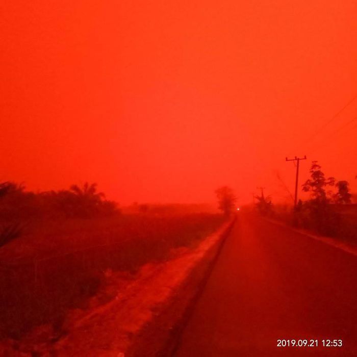 red sky indonesian 3 5d88d9f7ccf6e 700 Nad jedną z wiosek w Indonezji pojawiło się krwistoczerwone niebo. To efekt pożarów lasów